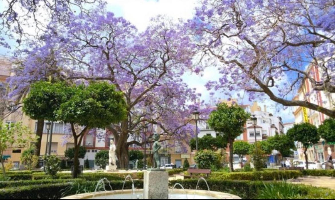 Historical Center Ollerias Málaga Exterior foto